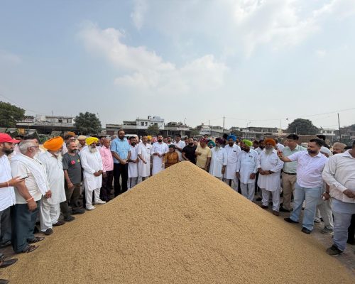 ਕਿਸਾਨਾਂ ਨੂੰ ਮੰਡੀਆਂ ਵਿੱਚ ਸੁਚਾਰੂ ਖਰੀਦ ਵਿਵਸਥਾ ਮੁਹੱਈਆ ਕਰਵਾਉਣਾ ਜ਼ਿਲ੍ਹਾ ਪ੍ਰਸ਼ਾਸਨ ਦੀ ਮੁੱਖ ਤਰਜੀਹ : ਰੋਬੀ ਕੰਗ